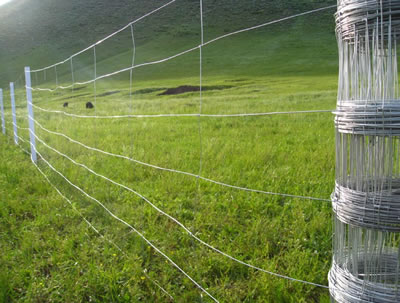 Grassland Field Fence, Flexible High Tensile Wire Fencing for Deers and Horses