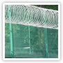 358 Mesh Panels Plus Concertina Wire Coils