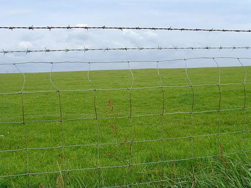 Galvanized Iron Field Fence with Barbed Wire