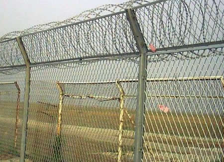 Perimeter Fencing Hot Dipped Galvanised Wire Mesh Trellis with Razor Blade Concertina