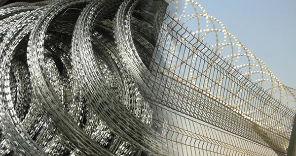 Crossed Razor Wire Coils